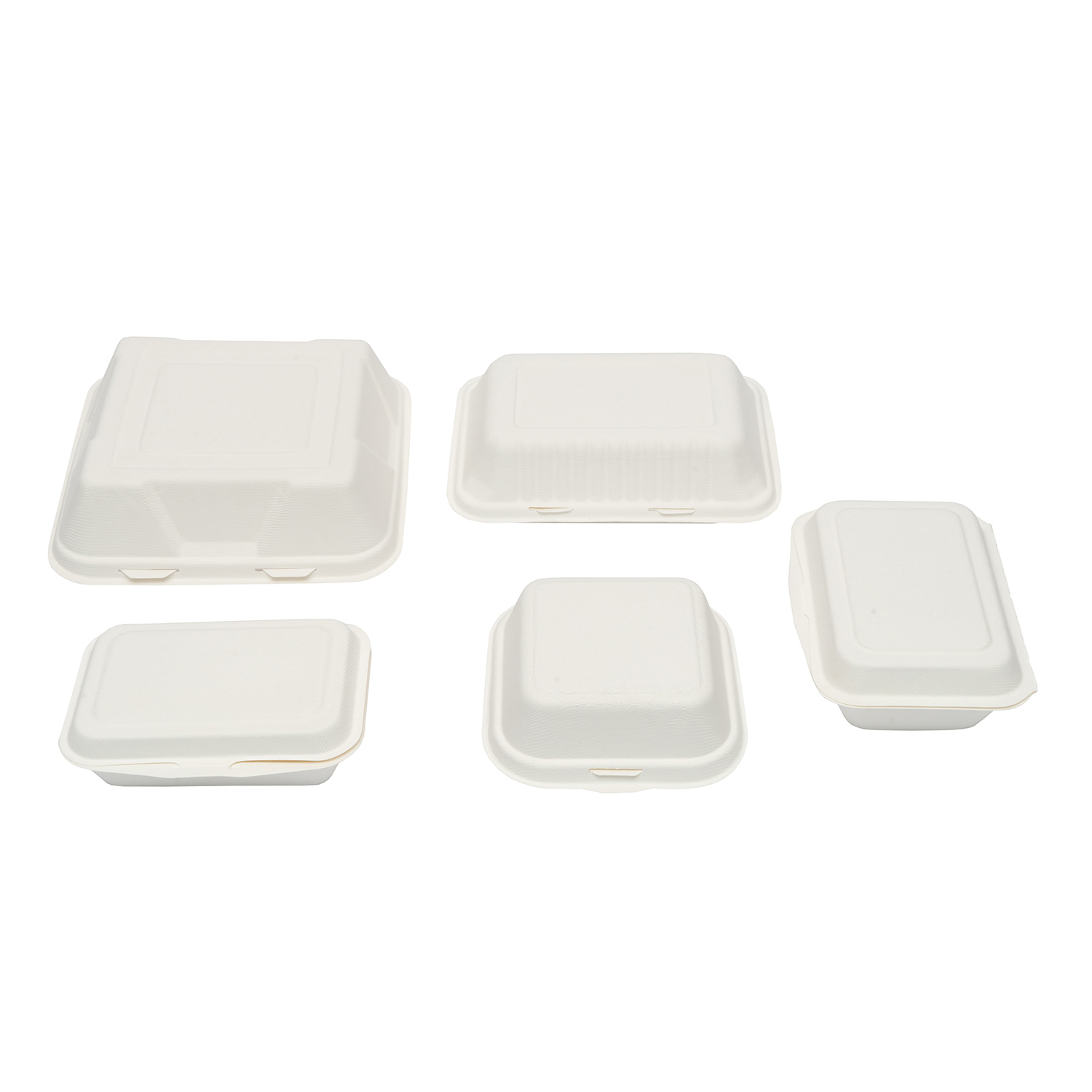 Biodegradable Sugarcane Bagasse Tableware, paper pulp tableware Bow, Plate, Lunch Box, Take away Box