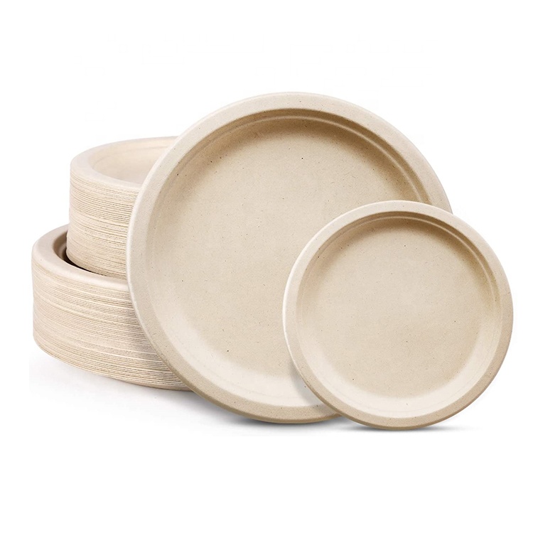 Biodegradable Sugarcane Bagasse Tableware, paper pulp Plate, Lunch Box, Take away Box