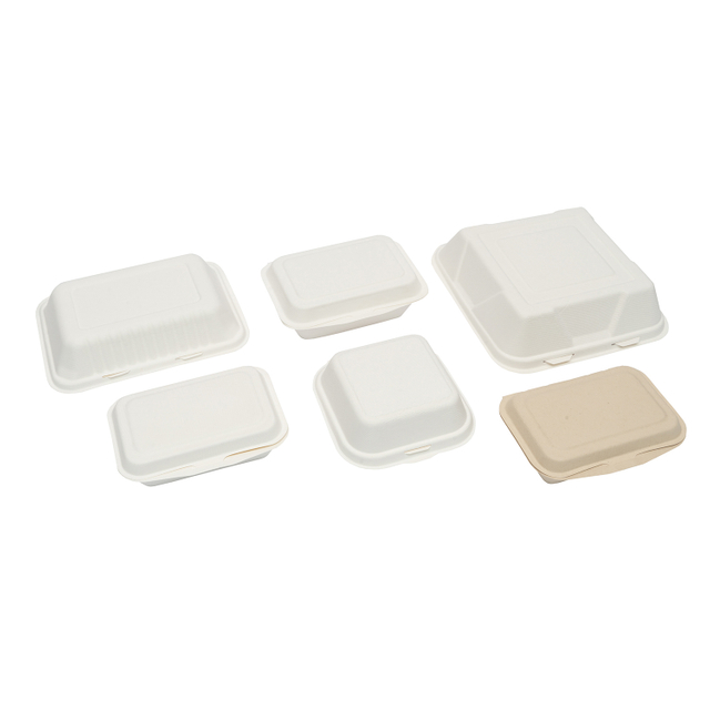 Biodegradable Sugarcane Bagasse Tableware, paper pulp tableware Bow, Plate, Lunch Box, Take away Box