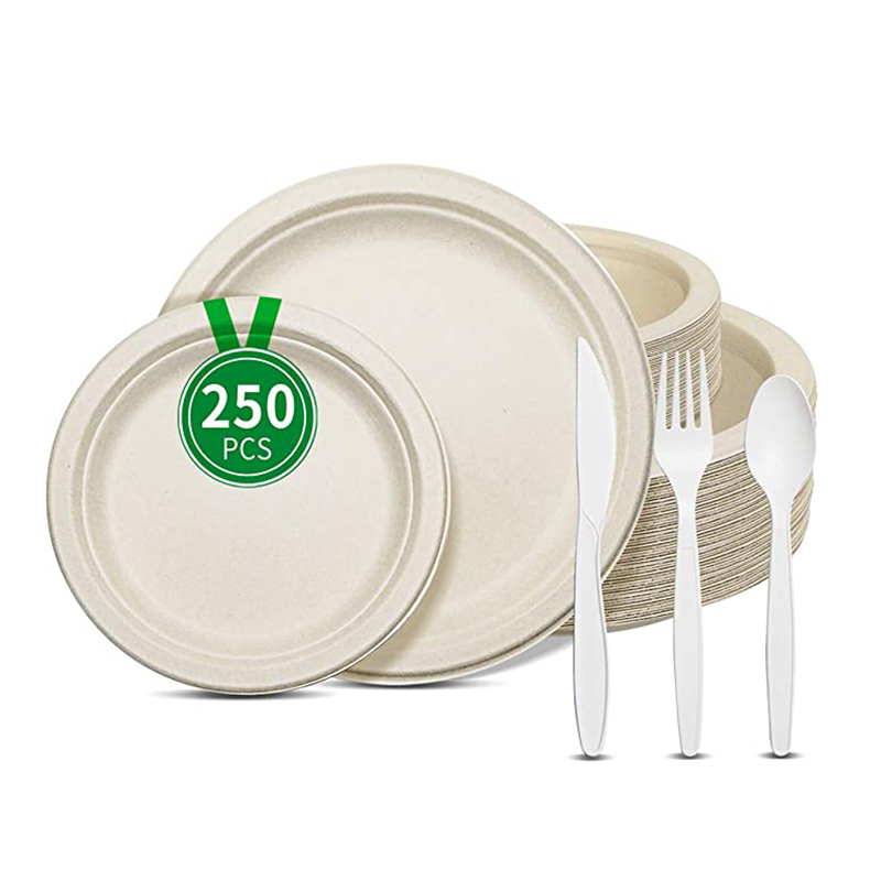 Biodegradable Sugarcane Bagasse Tableware, paper pulp Plate, Lunch Box, Take away Box