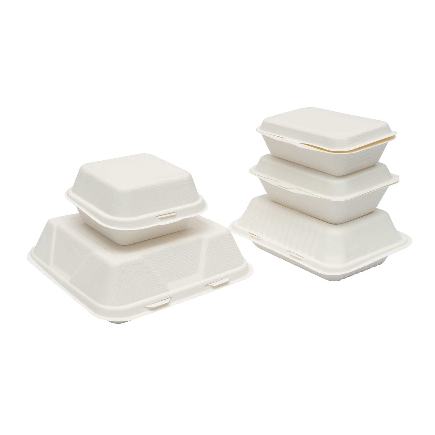 Biodegradable Sugarcane Bagasse Tableware, paper pulp tableware Bow, Plate, Lunch Box, Take away Box